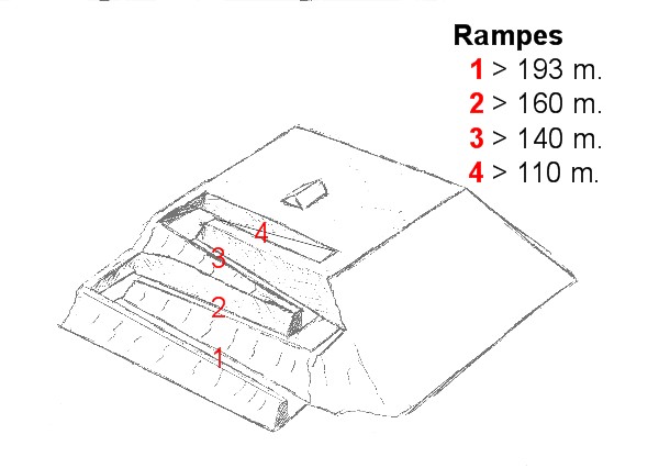numerus